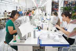 Chi Linh Shoes Joint Stock Company (Shunzu) - Manufacturing unit