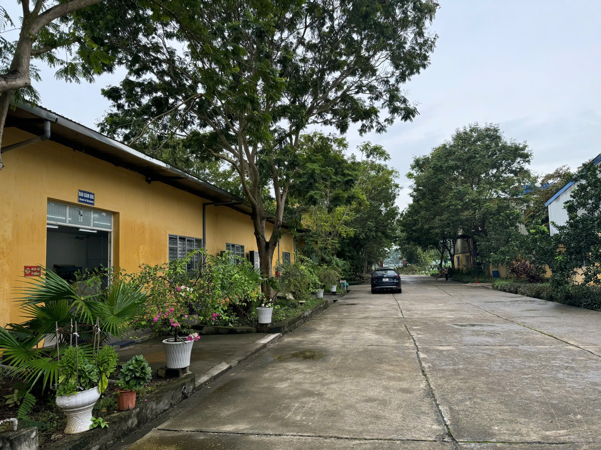 Truong Xuan Shoes Company Limited - Production Unit